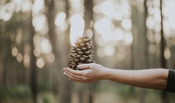 Безусловная любовь – сказка?