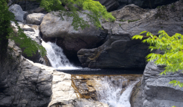 Моя ответственность перед Жизнью