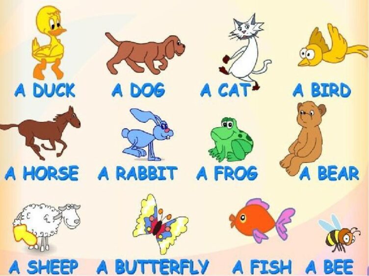 Английский Мытищи