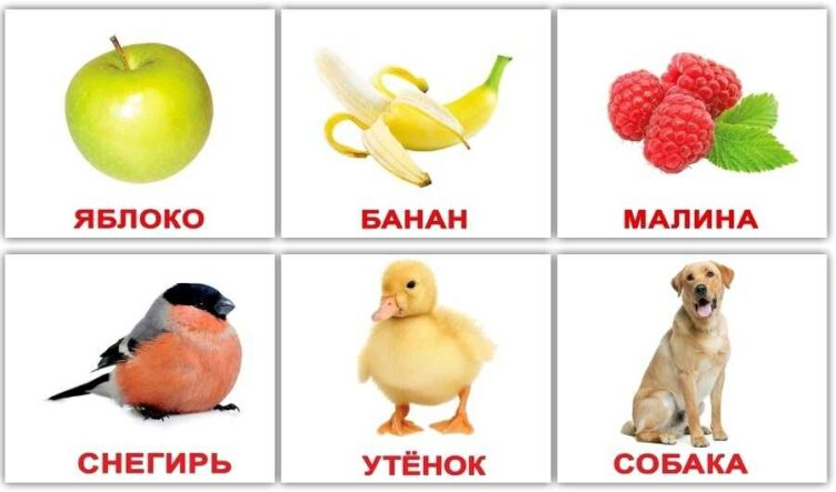 карточки Домана